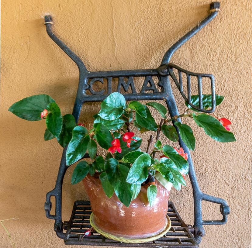 Country house Nentia